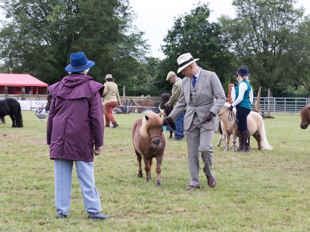 ការប្រកួតនិងរង្វាន់: ផ្លូវទៅកាន់ជោគជ័យ