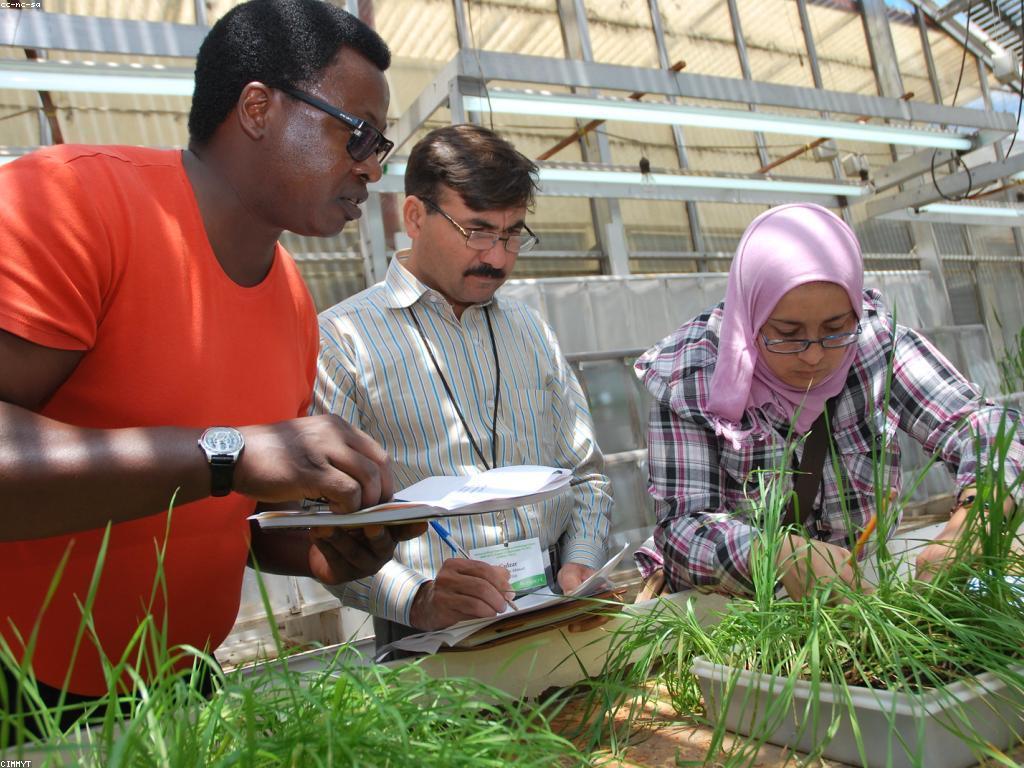 វិធីសាស្ត្រកែលម្អចំណេះដឹង