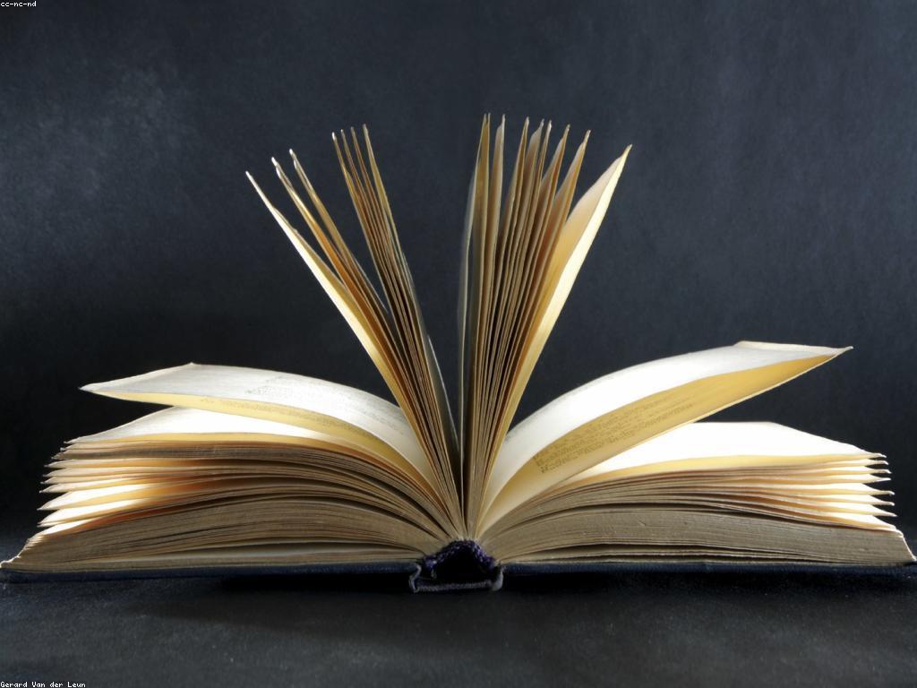 អត្ថបទឯកសារ៖ ការបកស្រាយនិងការពិចារណា