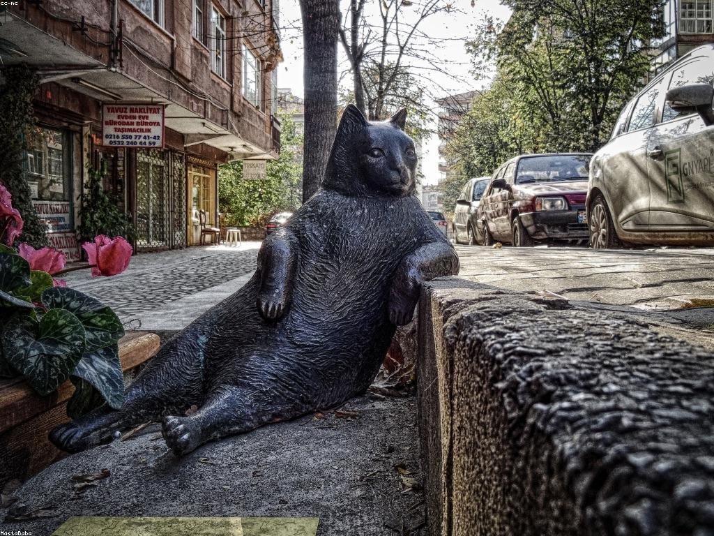 ការយល់ដឹងអំពីអត្ថបទឯកសារ