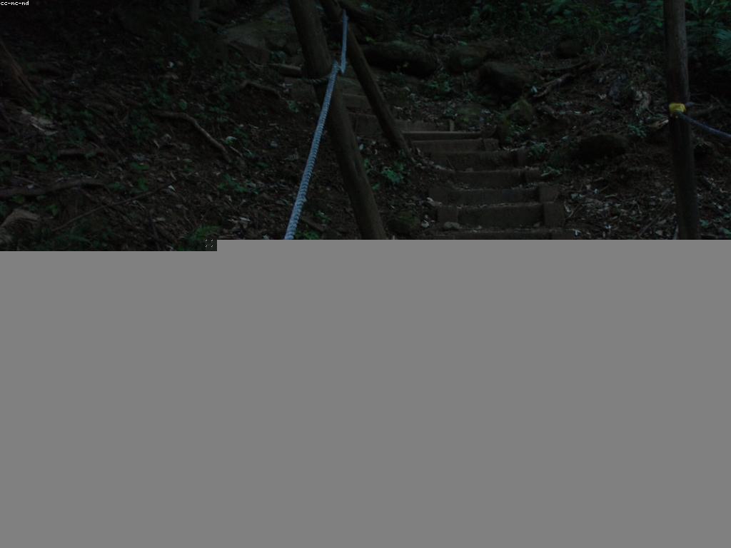 ការប្រារព្ធព្រឹត្តិការណ៍ចូលឆ្នាំ: យុទ្ធសាស្ត្រនៃការចូលរួម