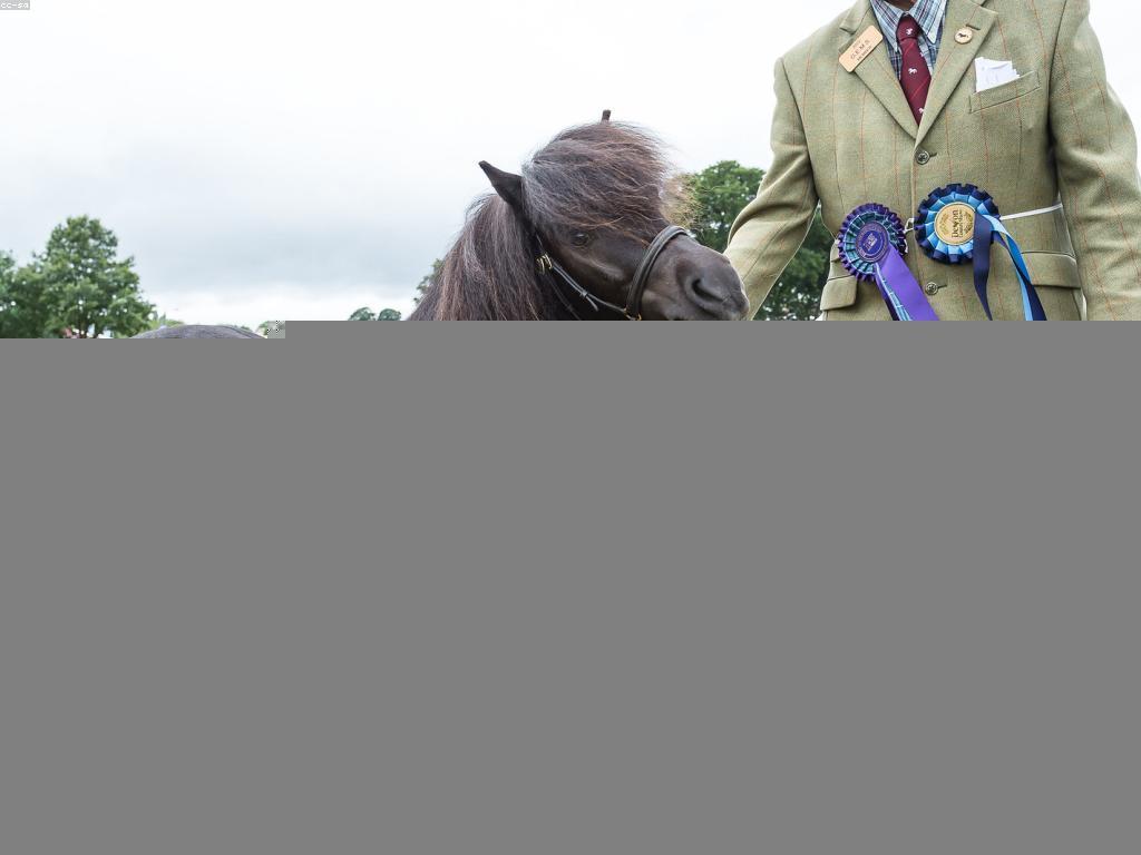 យុទ្ធសាស្ត្រដើម្បីបញ្ជាក់ពីការប្រកួតនិងរង្វាន់